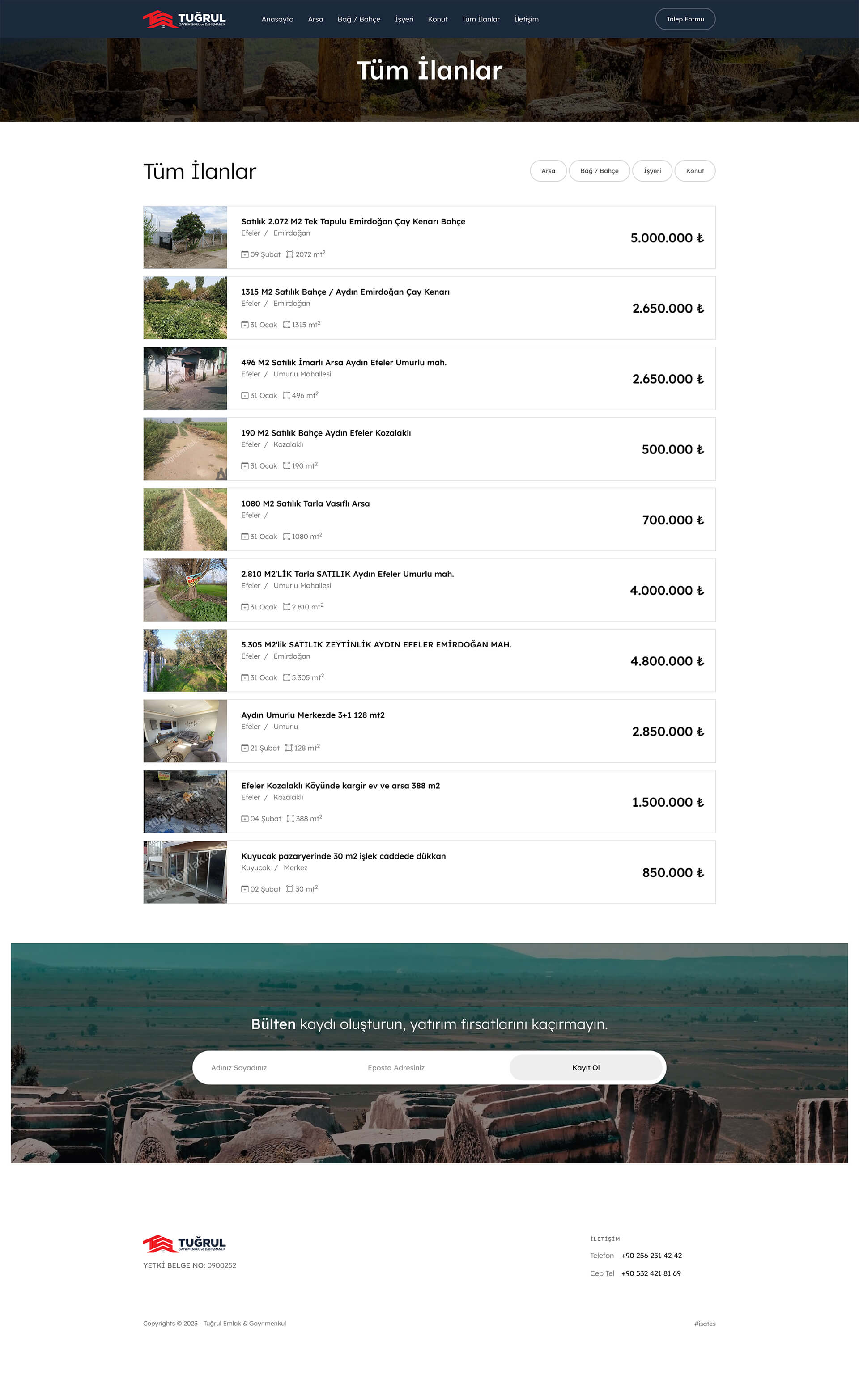 Real Estate Website