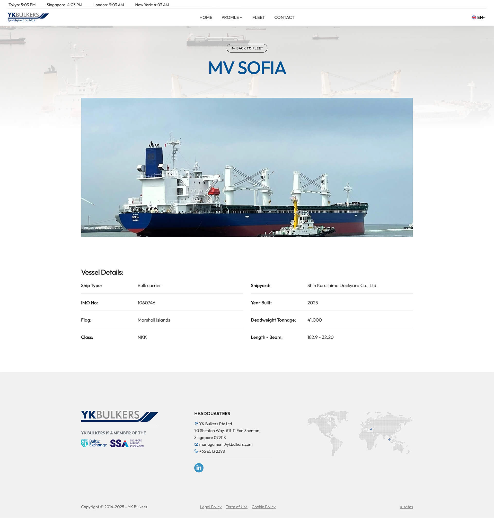 Full-Scope Website Design & Development