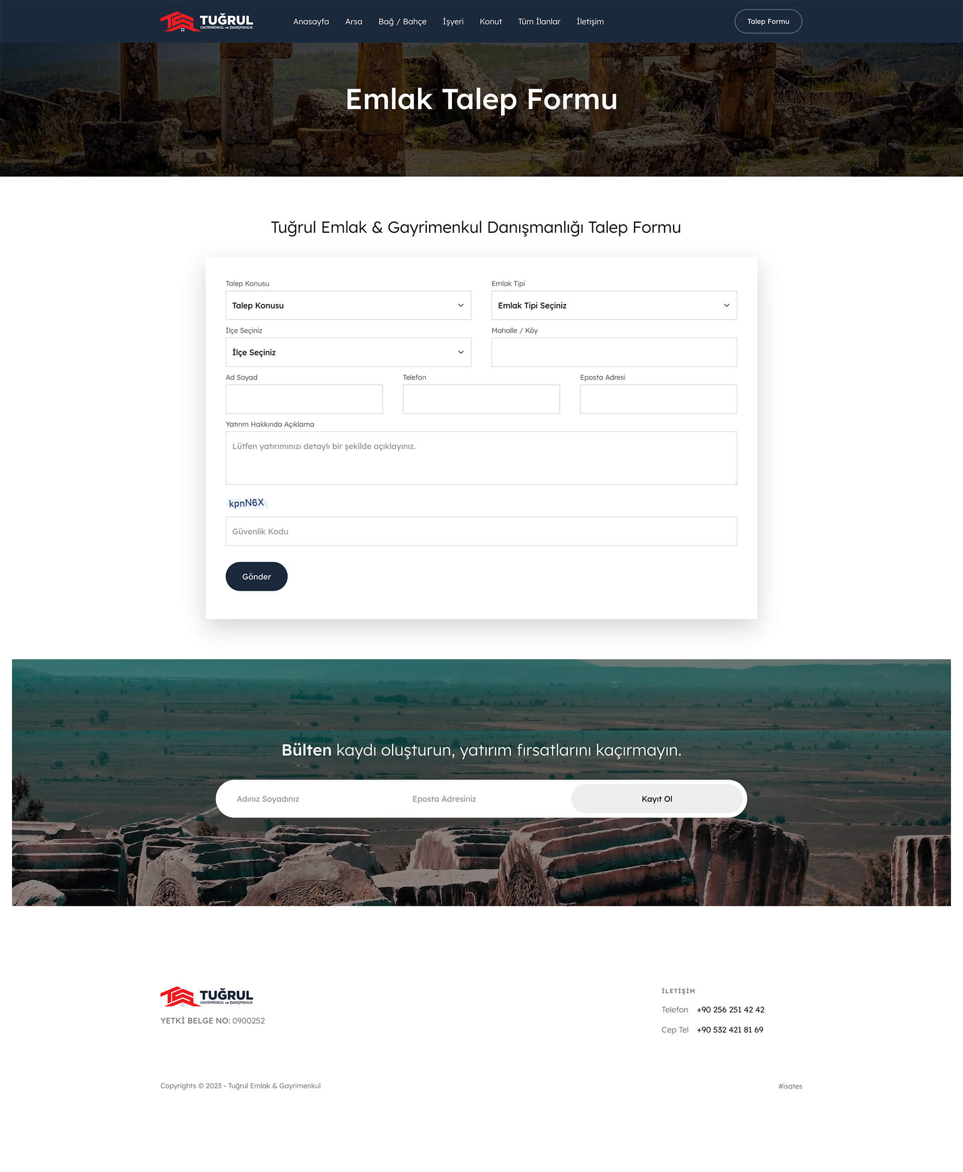 Real Estate Website