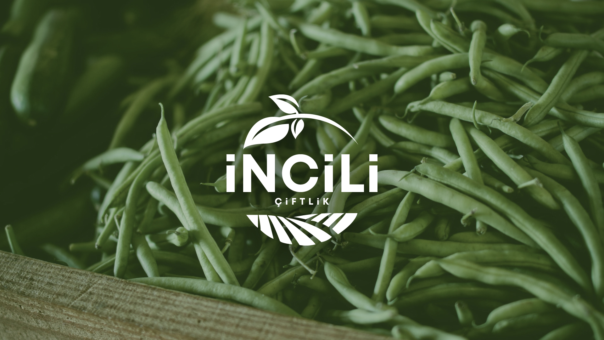Crafting a Visual Identity Rooted in Sustainability and Community