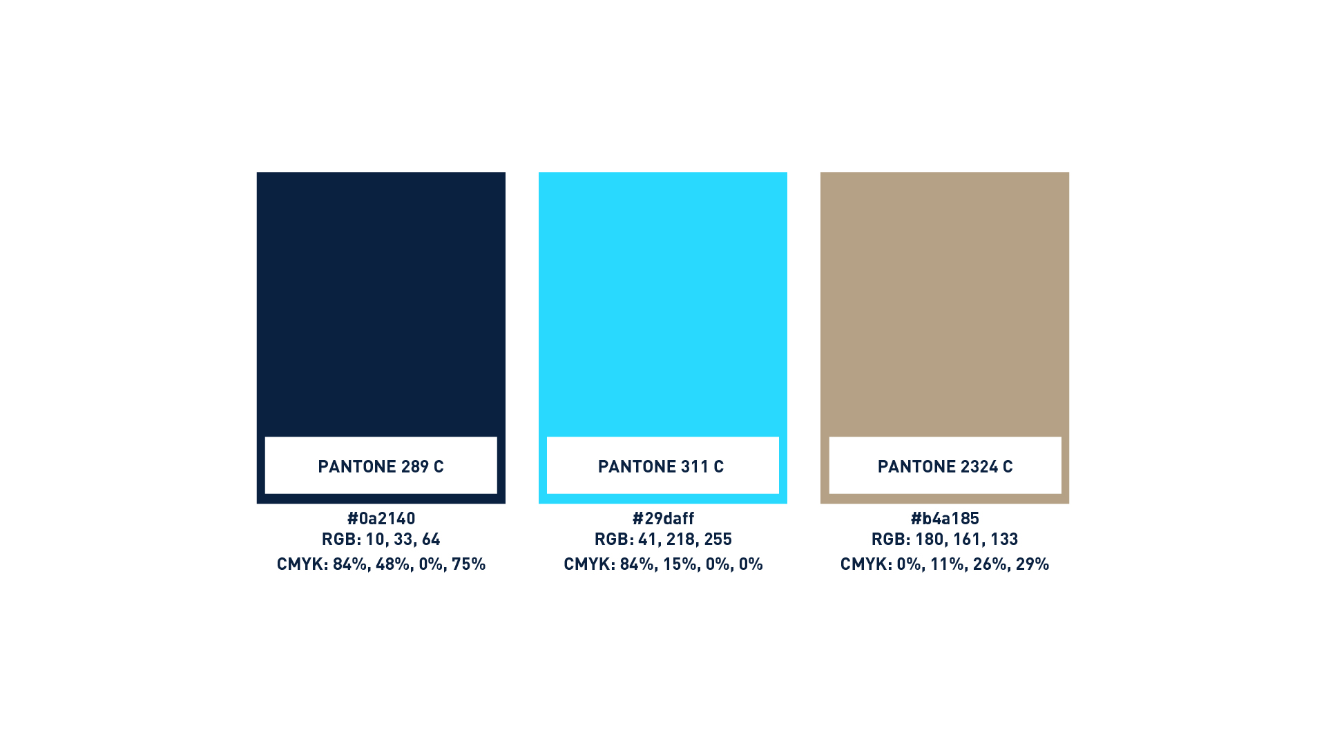 Branding the Taste of the Sea: İncili Cafe & Brew