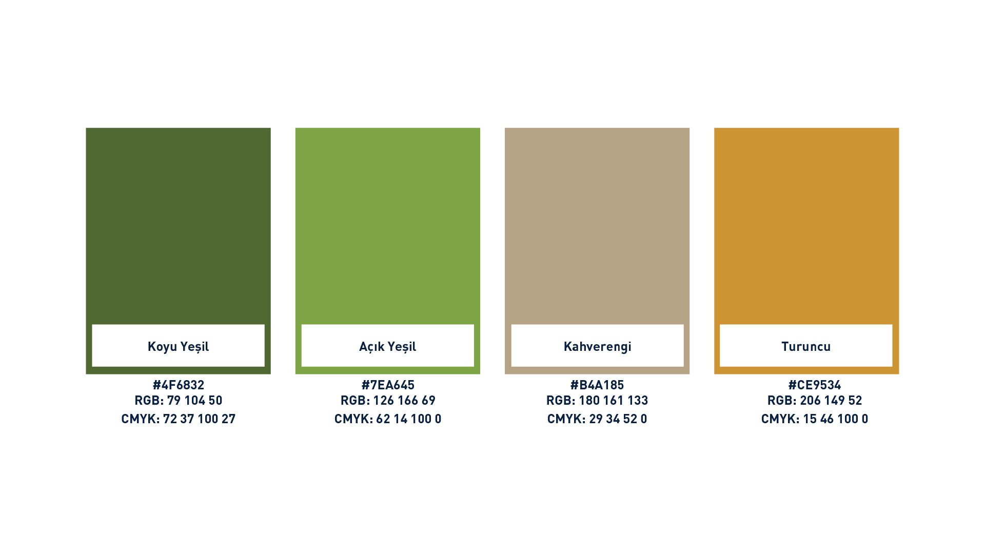 Crafting a Visual Identity Rooted in Sustainability and Community