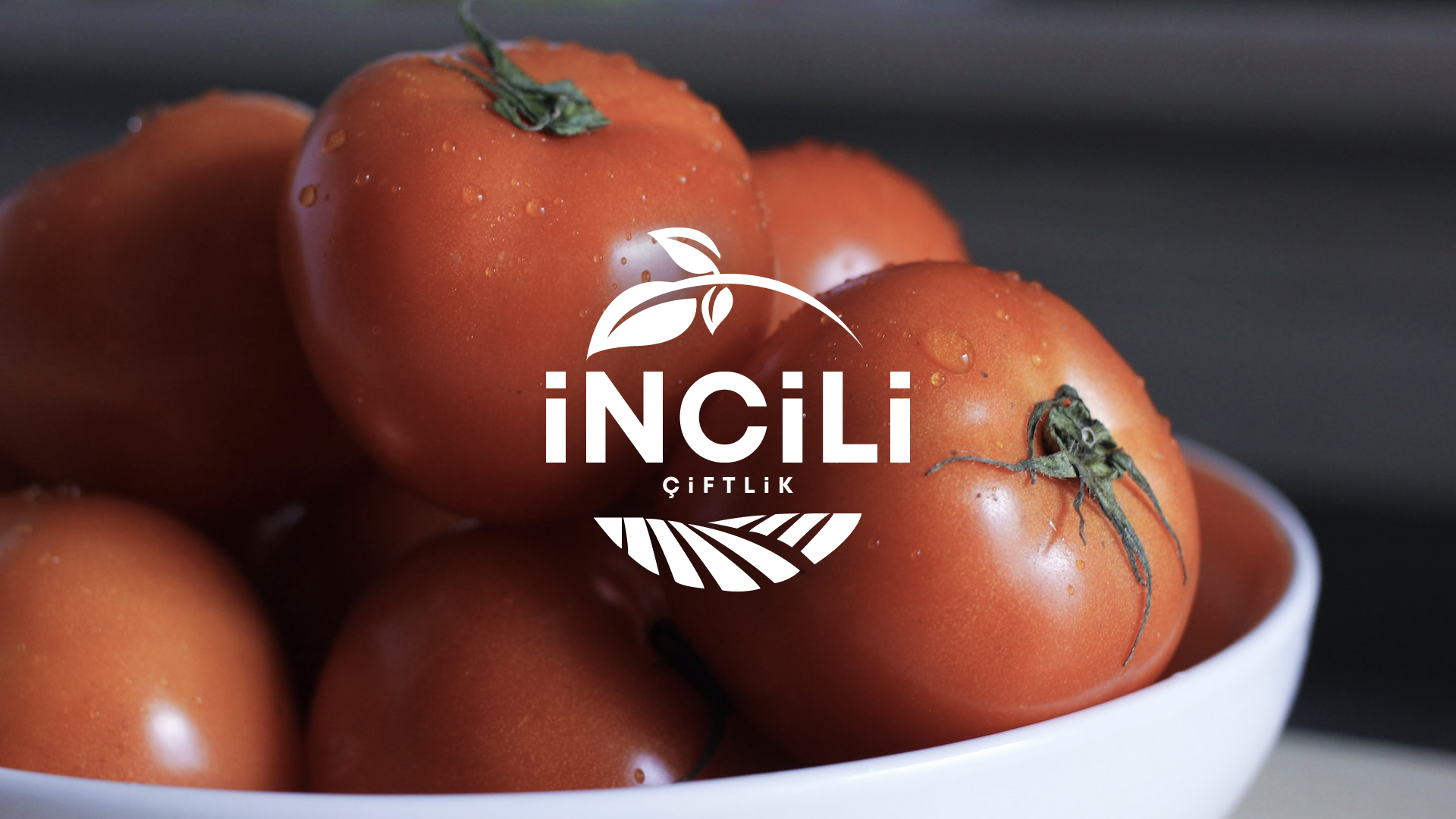 Crafting a Visual Identity Rooted in Sustainability and Community