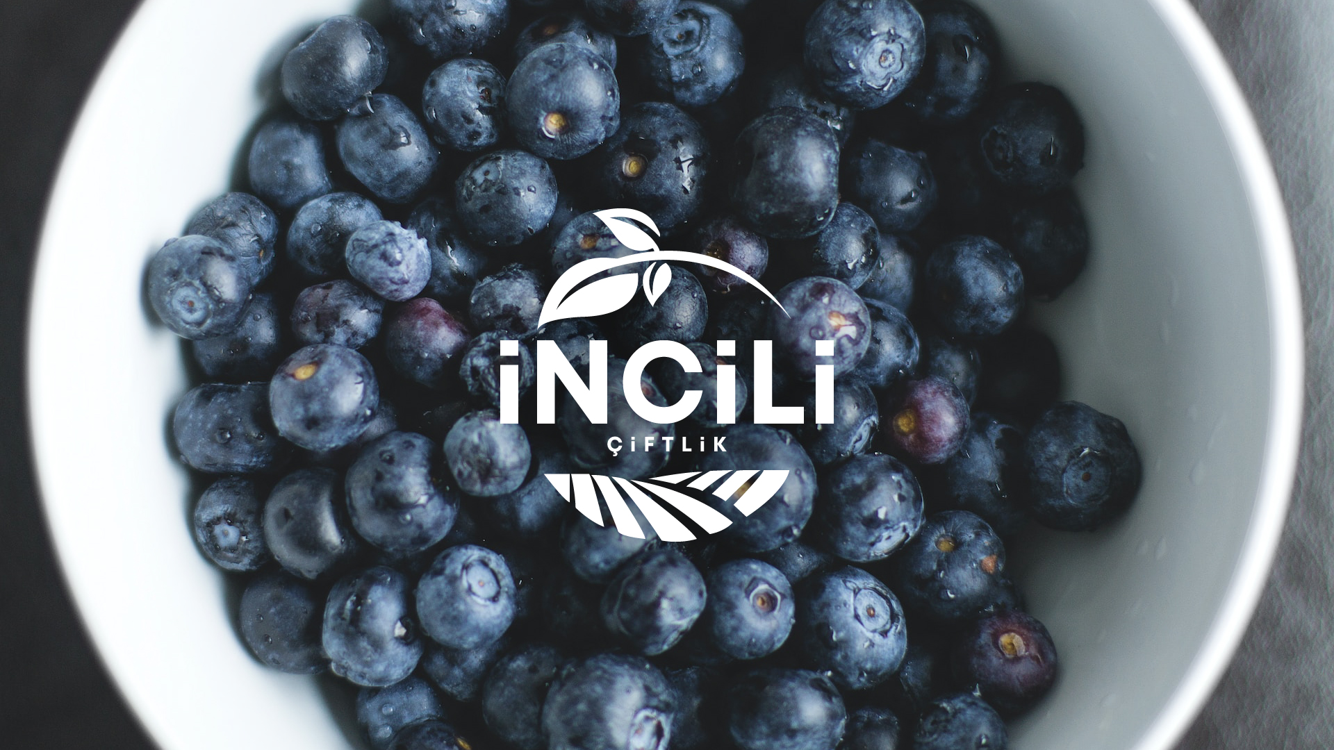 Crafting a Visual Identity Rooted in Sustainability and Community