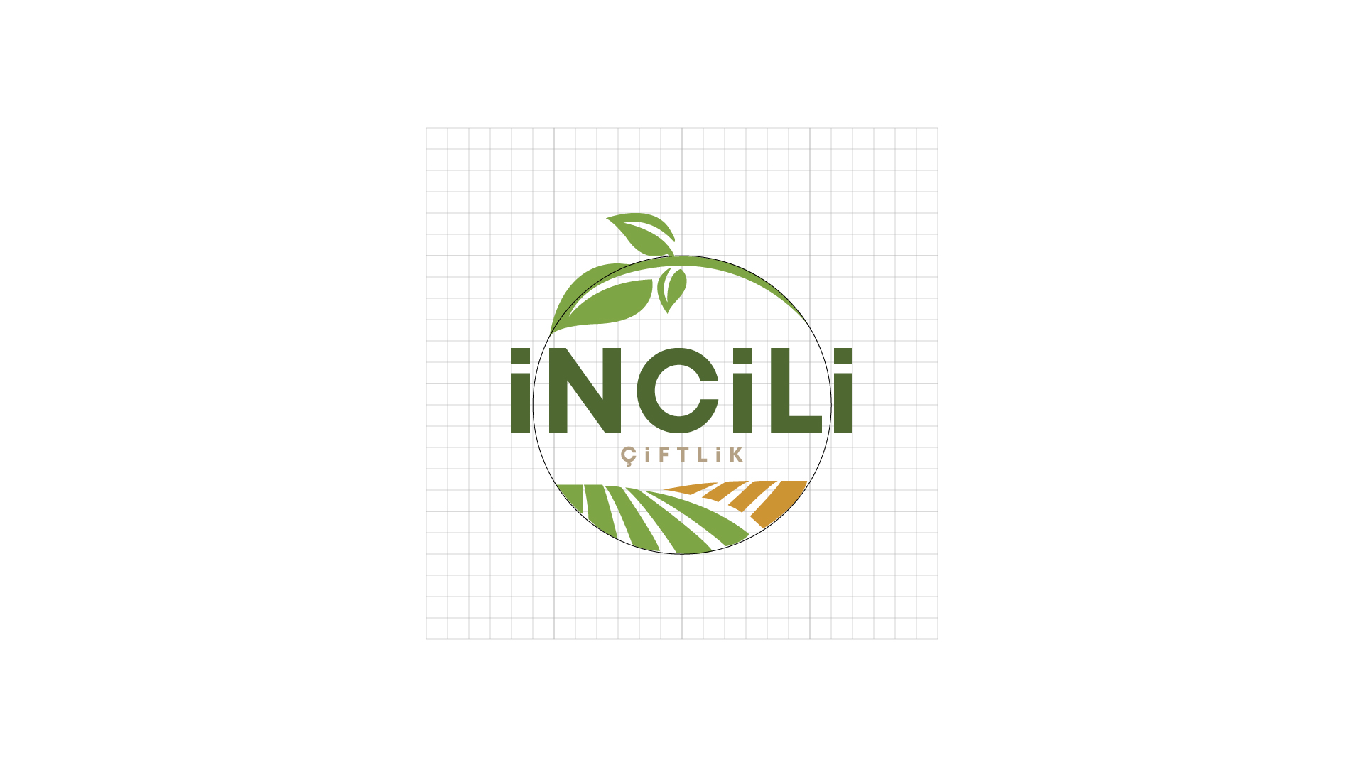 Crafting a Visual Identity Rooted in Sustainability and Community