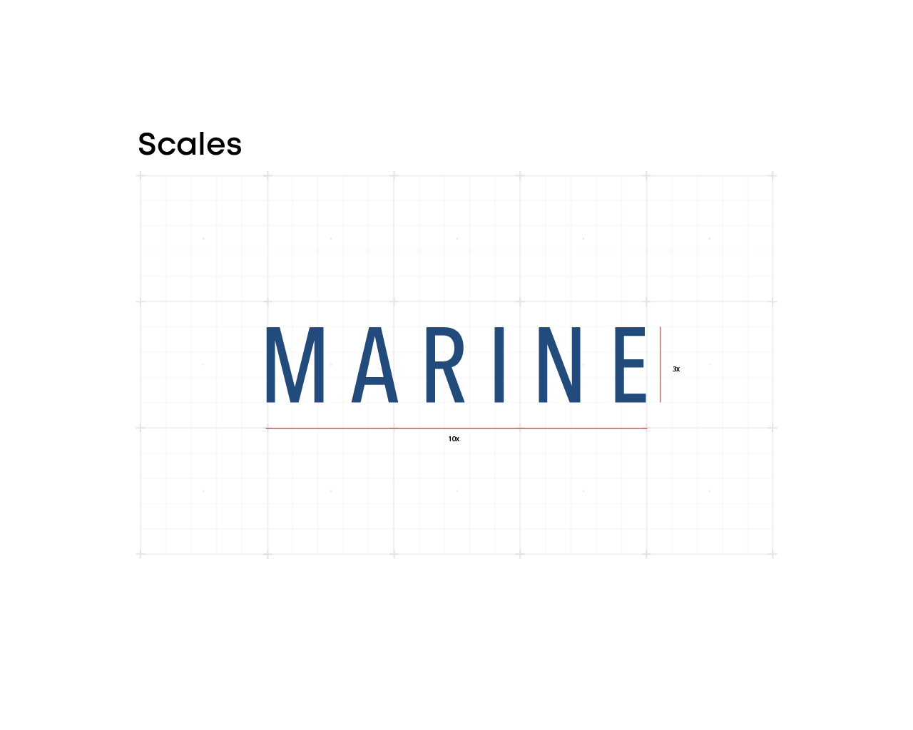 Logo, Brand Identity & Website