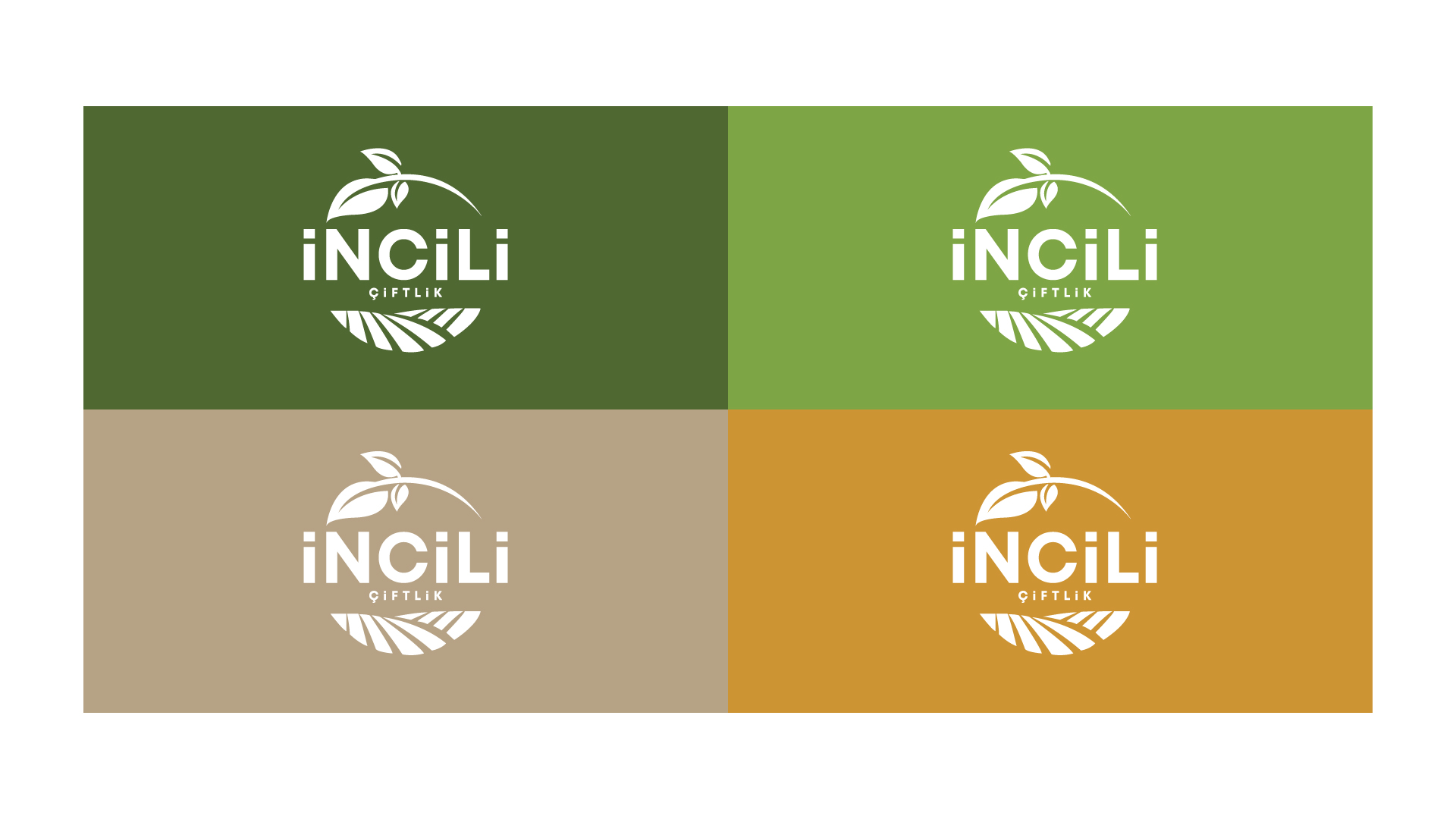 Crafting a Visual Identity Rooted in Sustainability and Community